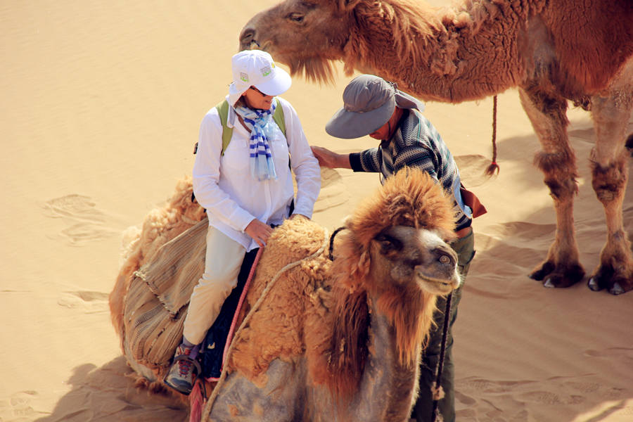 camel riding at desert