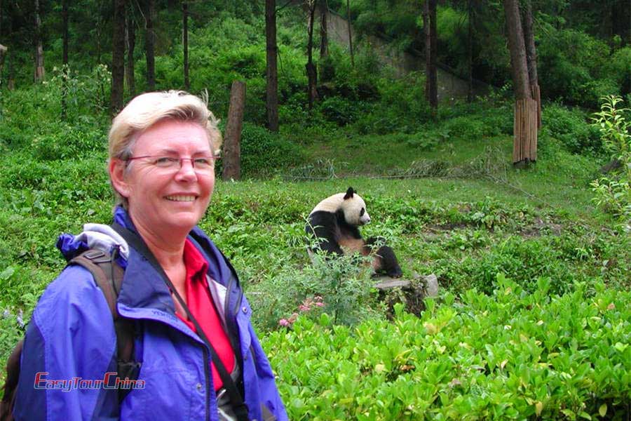 Visit Chengdu Panda Base and the see the lovely panda eating bamboo