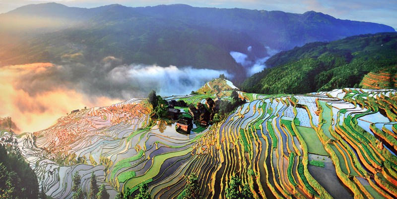 Jiabang Rice Terraces in China
