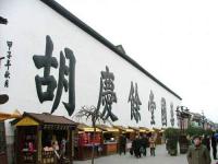 Chinese Medicine Museum of Hu Qinyu Pharmacy