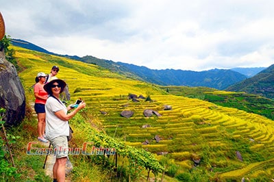 Guilin Longji Rice Terraces Fields