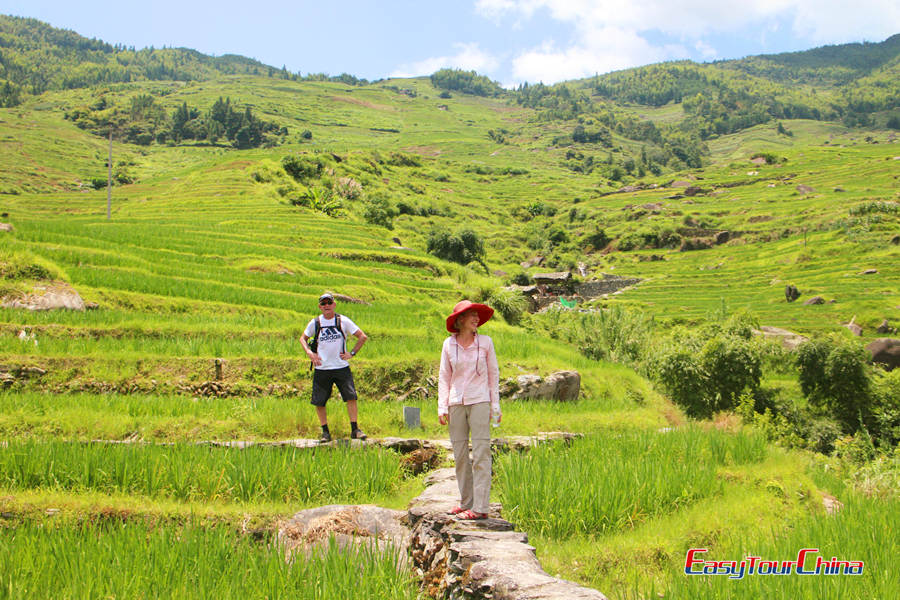 Visit Longji Rice Terraces in summer