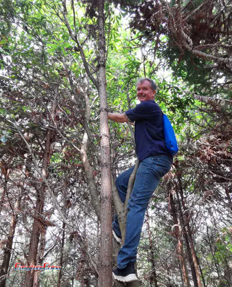 Ian climbs in a tree