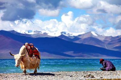 Tibet Tour to Namtso Lake