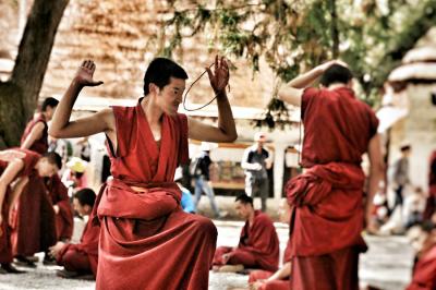 Sera Monastery Monk Debate