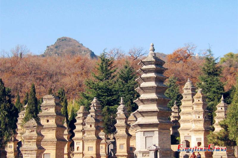 Shaolin Monastery Pagoda Forest