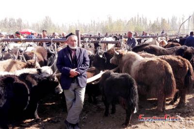 Live Stock Market in Xinjiang